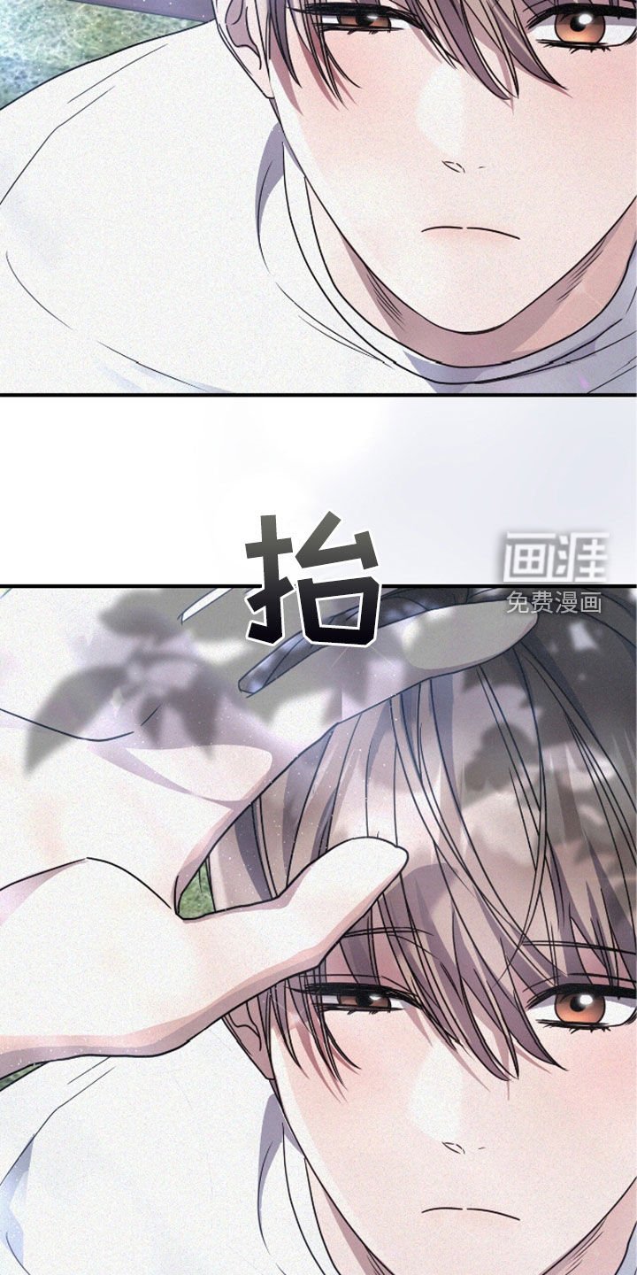 第117章：遛狗