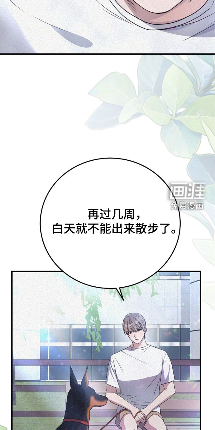 第117章：遛狗