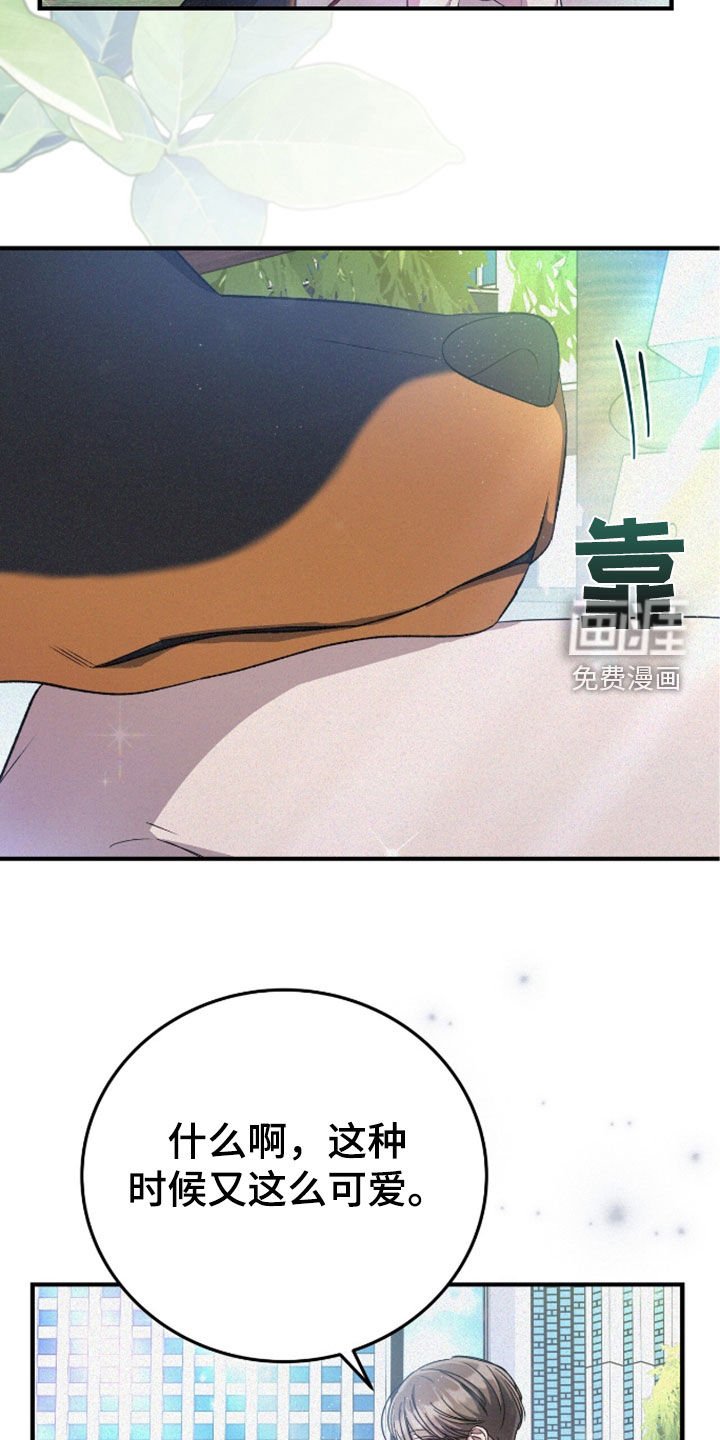 第117章：遛狗