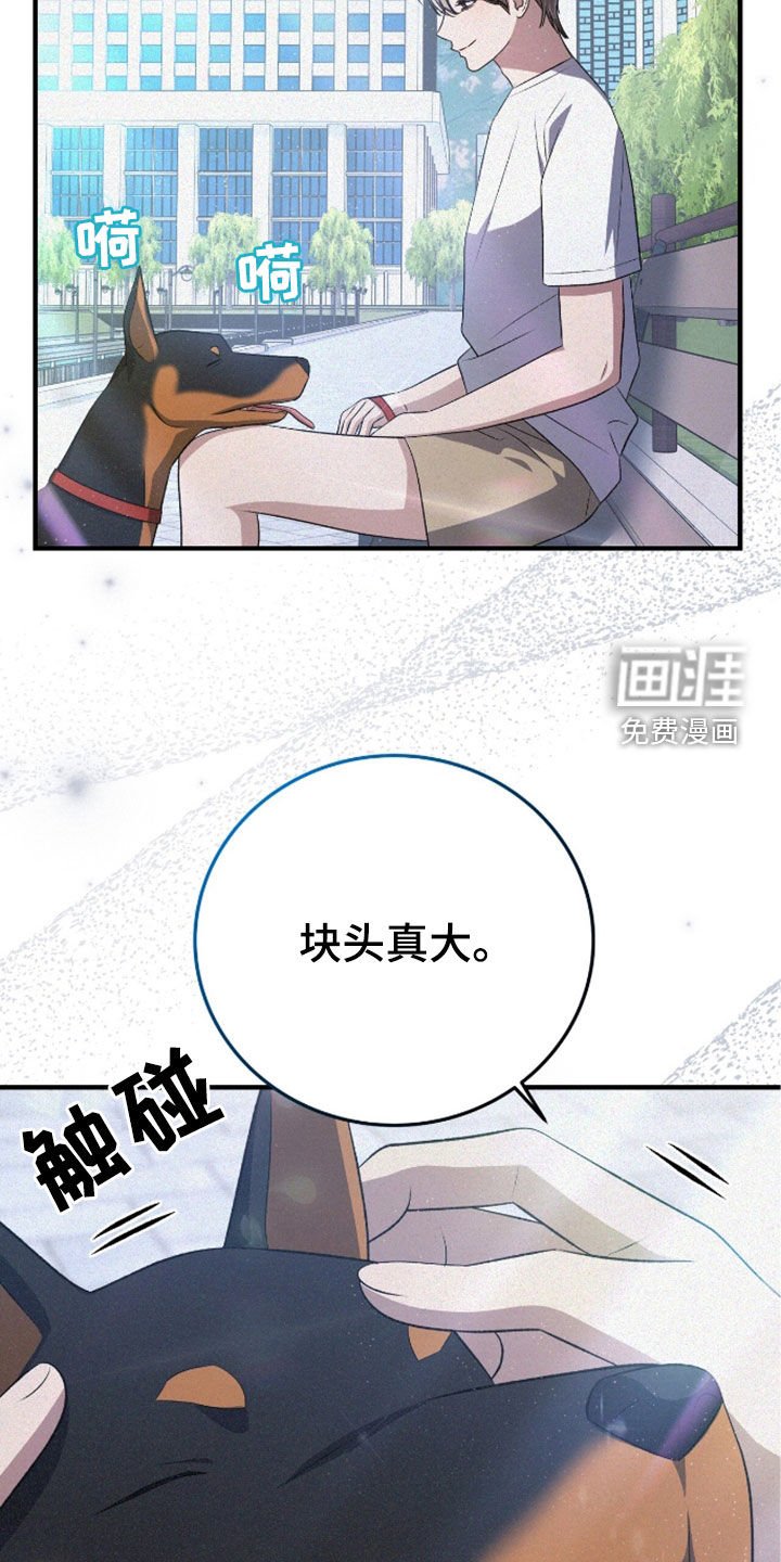 第117章：遛狗