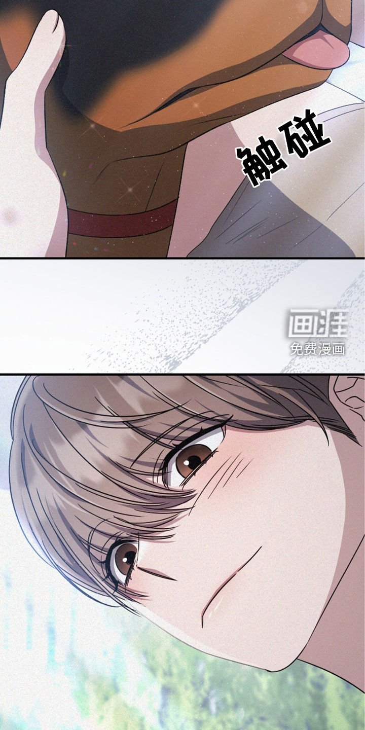 第117章：遛狗