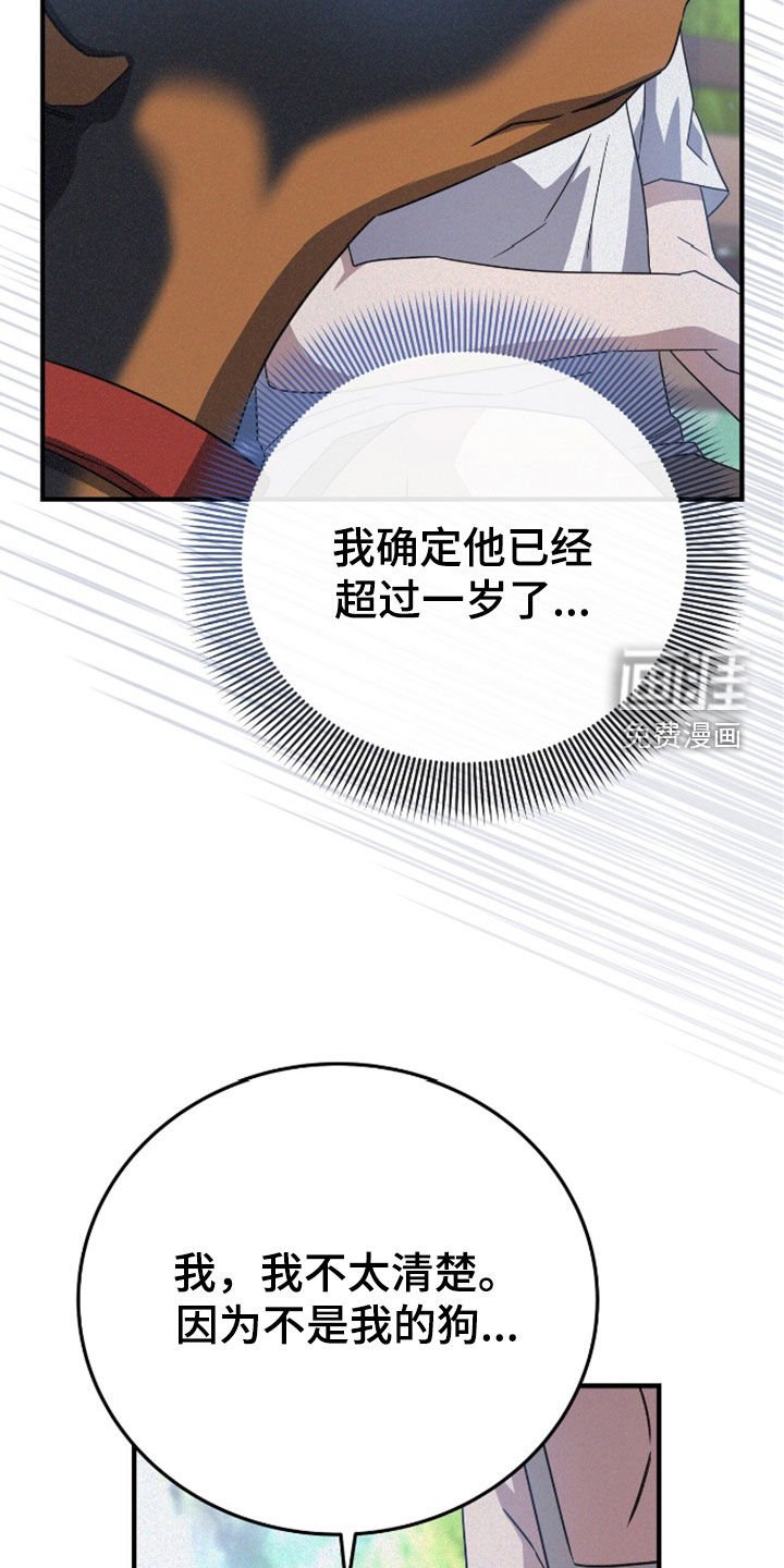 第117章：遛狗