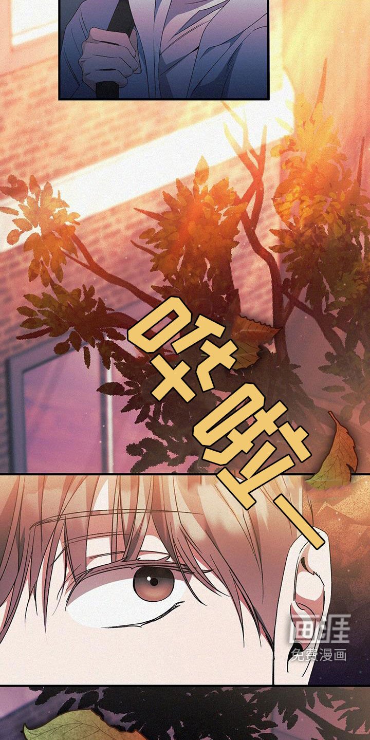 第39章：无可奈何