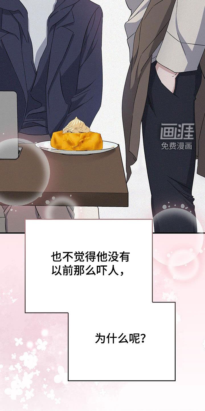 第61章：就像梦一样