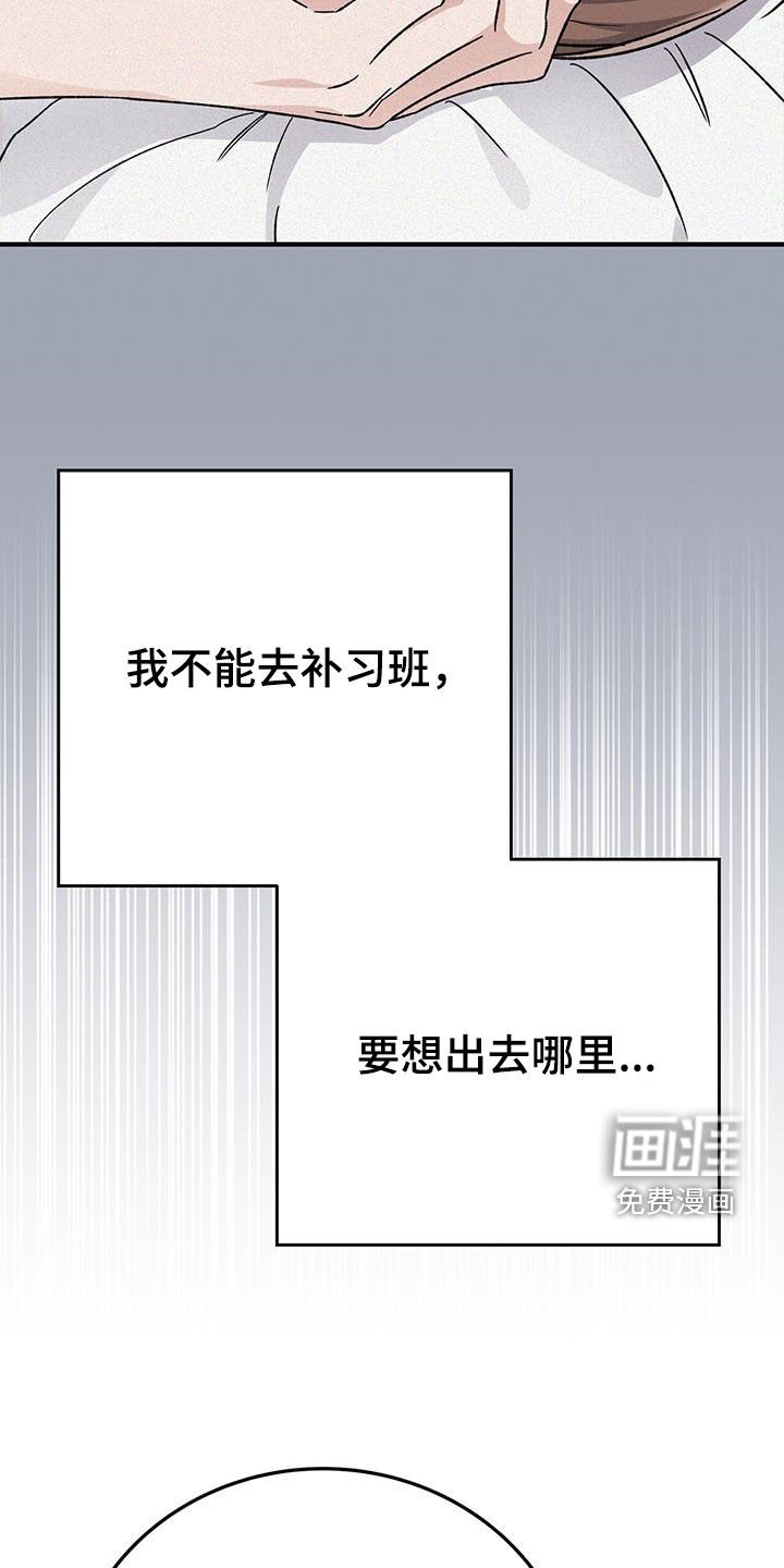 第83章：交通事故
