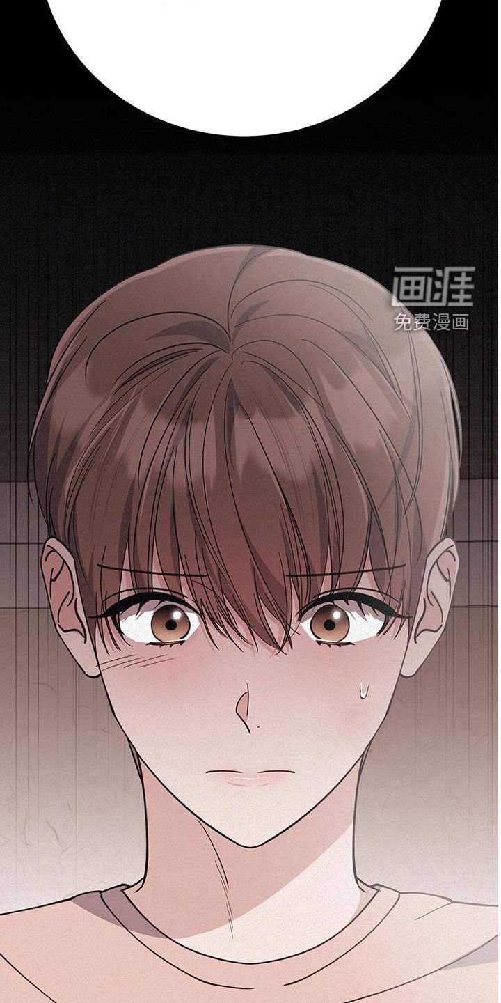 第83章：交通事故