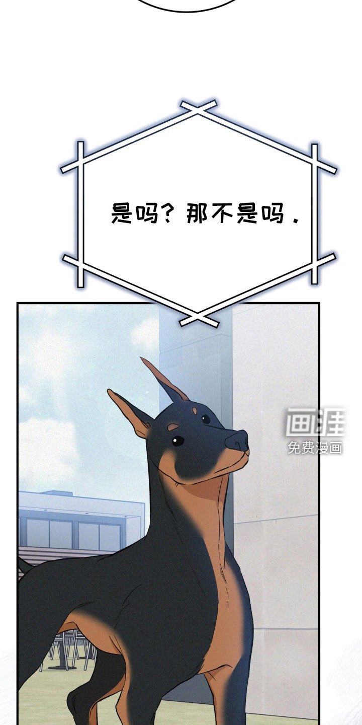 第93章：只是后辈