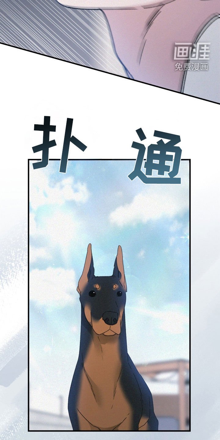 第94章：蠢货