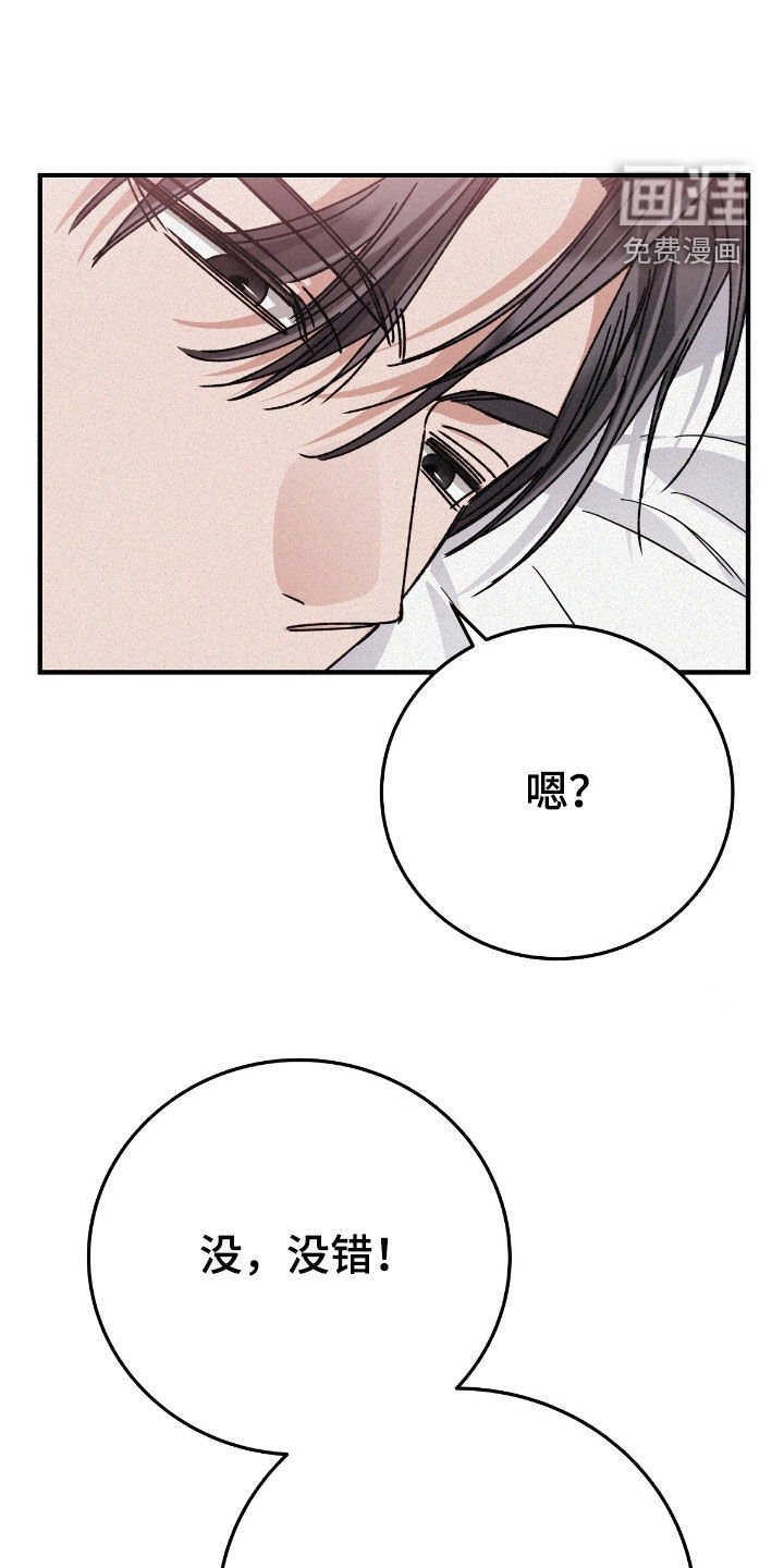 第96章：哥哥回家了