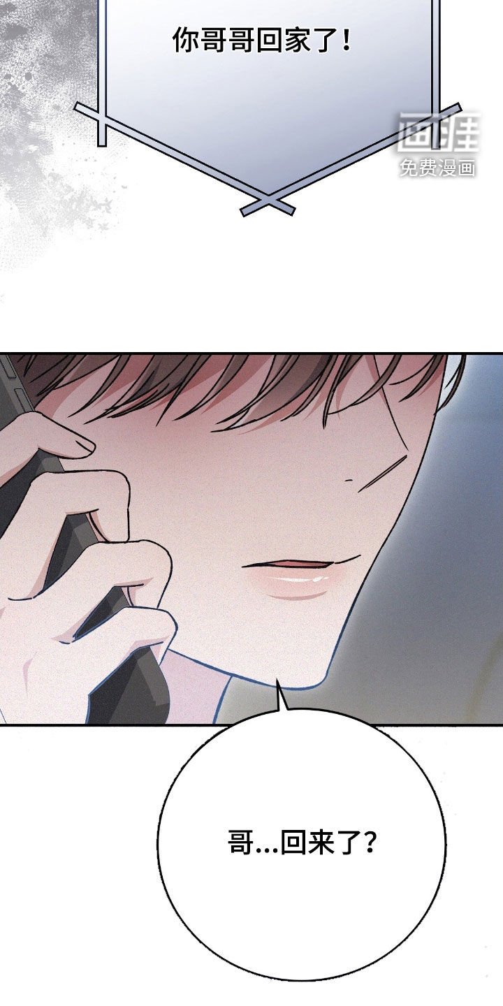 第96章：哥哥回家了