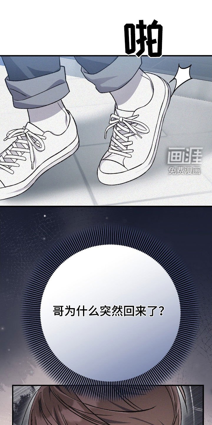 第96章：哥哥回家了