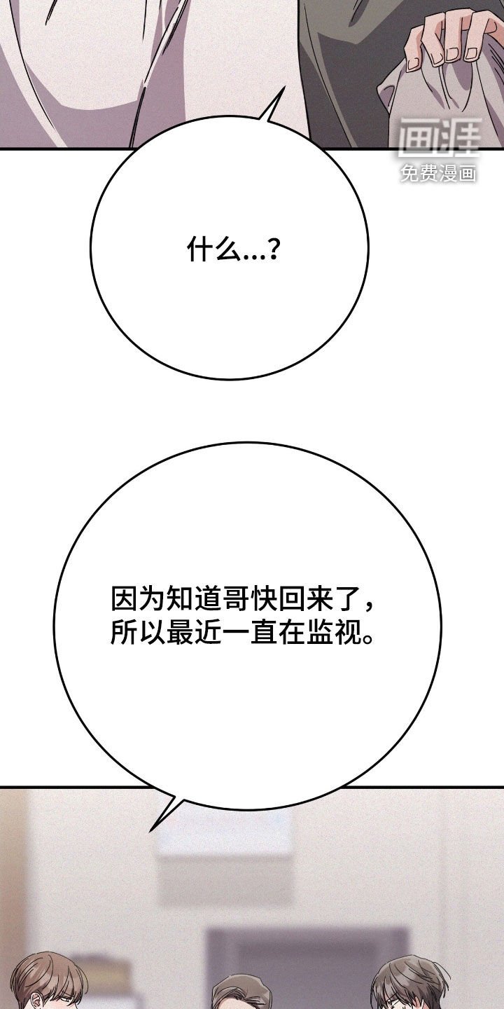 第97章：一直在监视