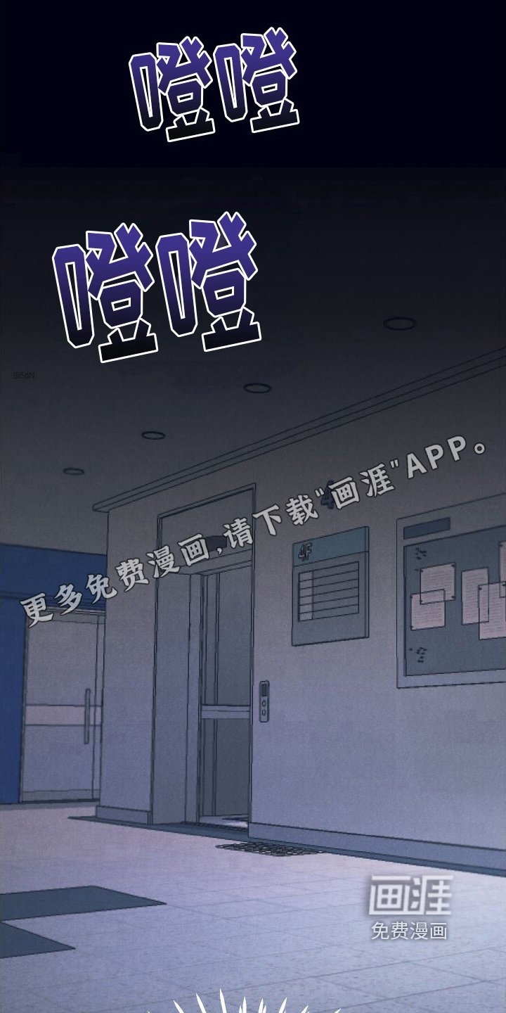 第11章：绝配【完结】
