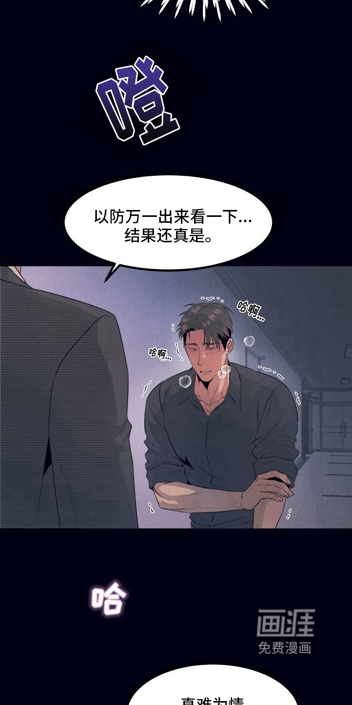 第11章：绝配【完结】