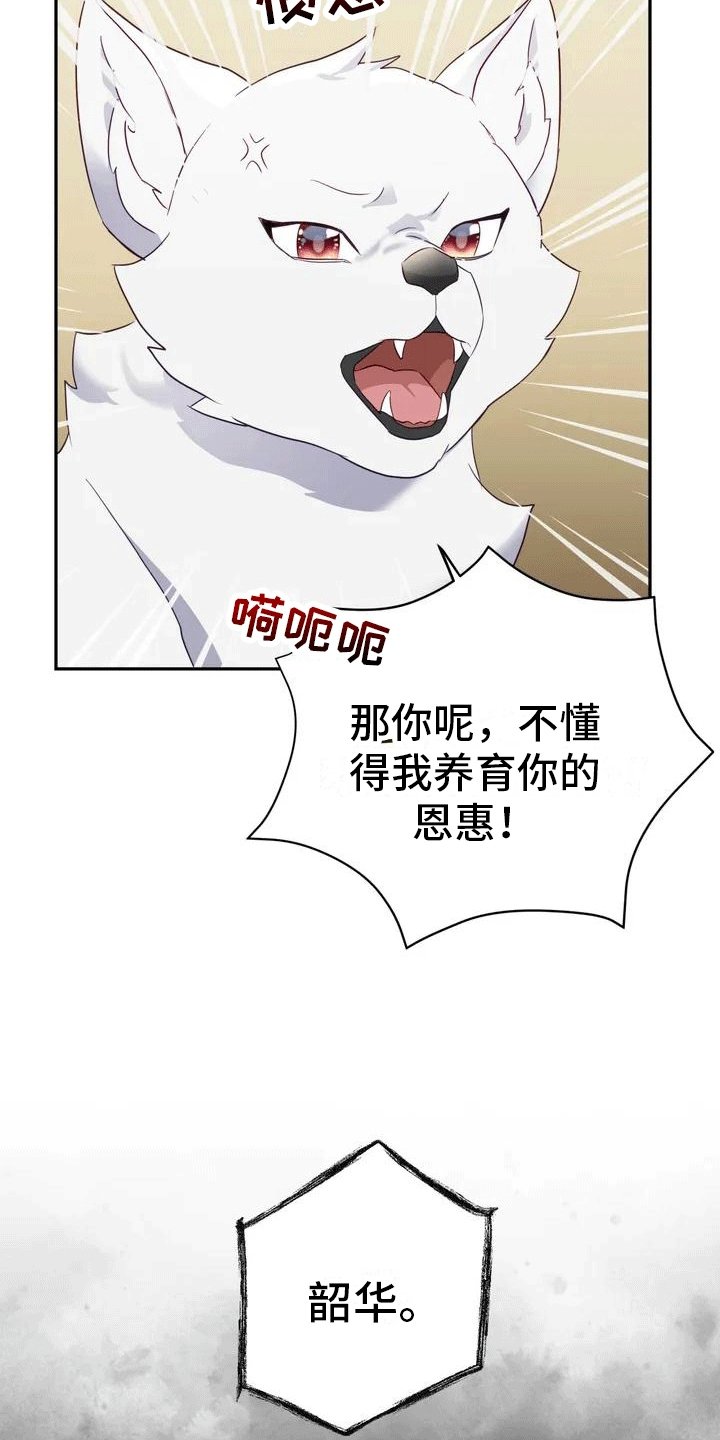 第1章：威胁