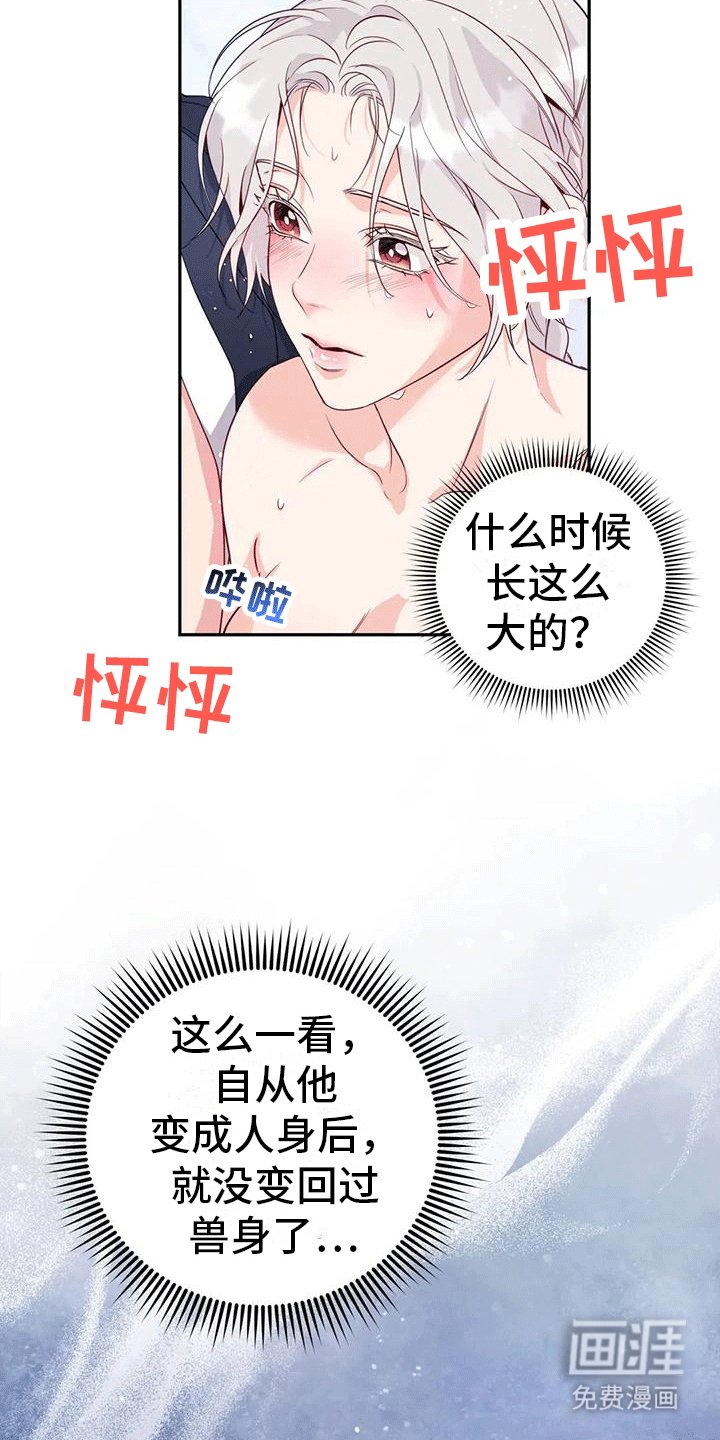 第11章：梦中
