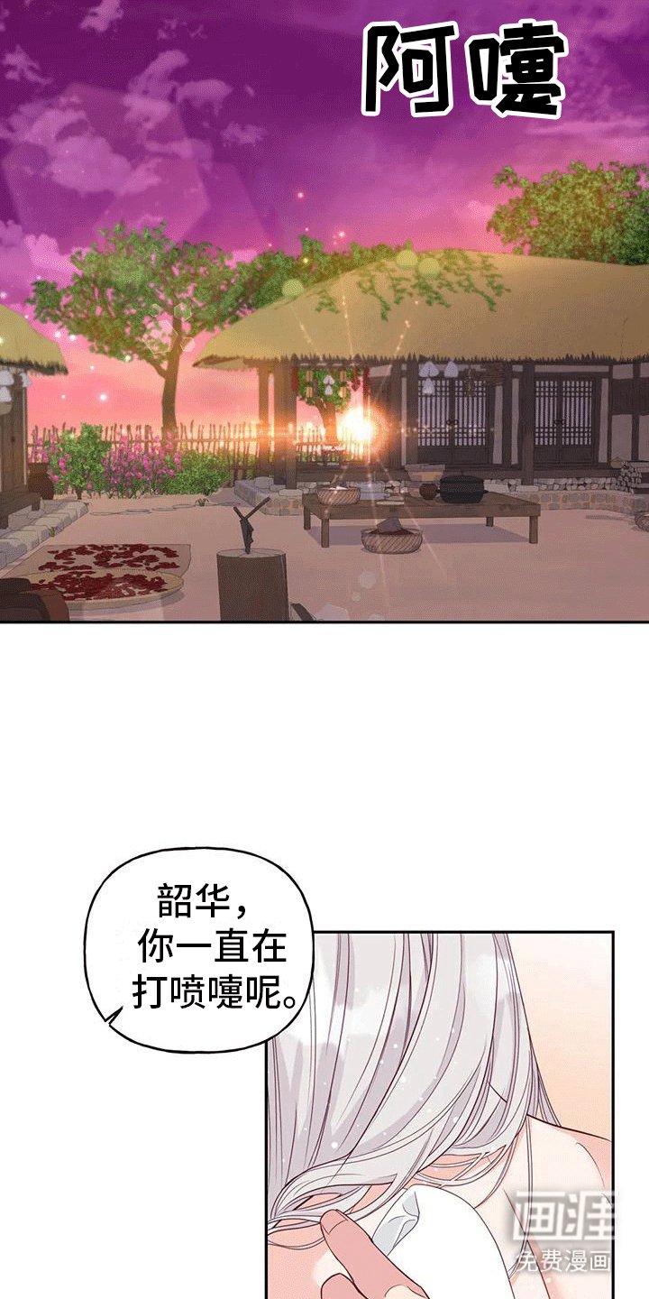 第11章：梦中