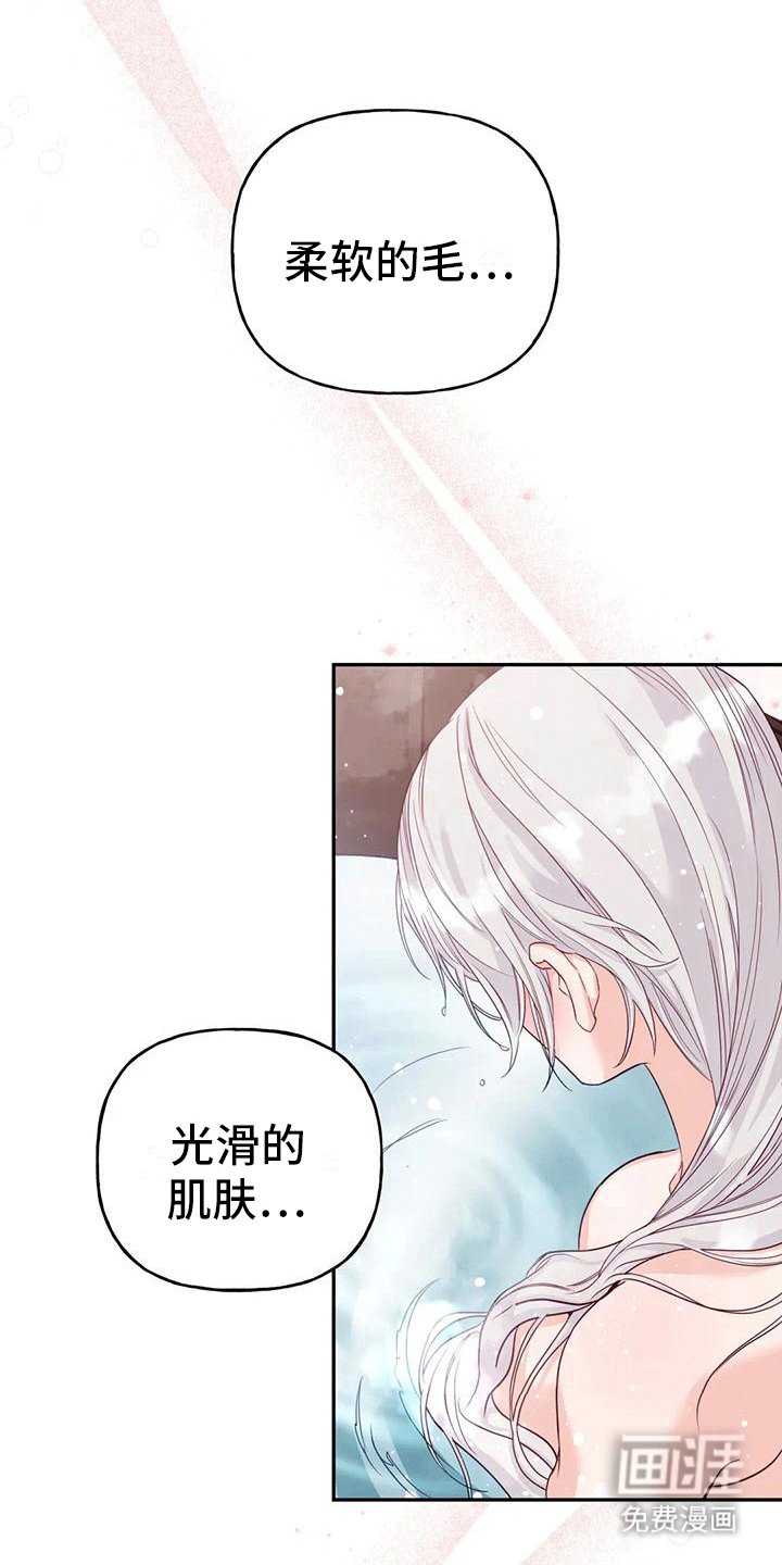 第11章：梦中