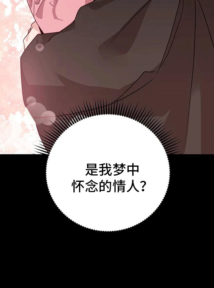 第11章：梦中