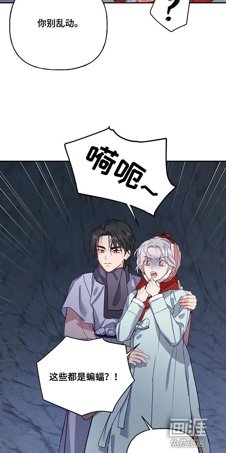 第14章：白蛇
