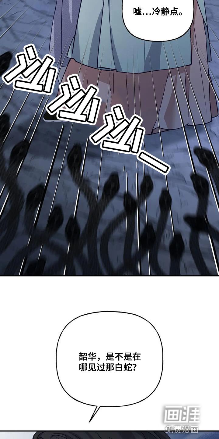 第14章：白蛇