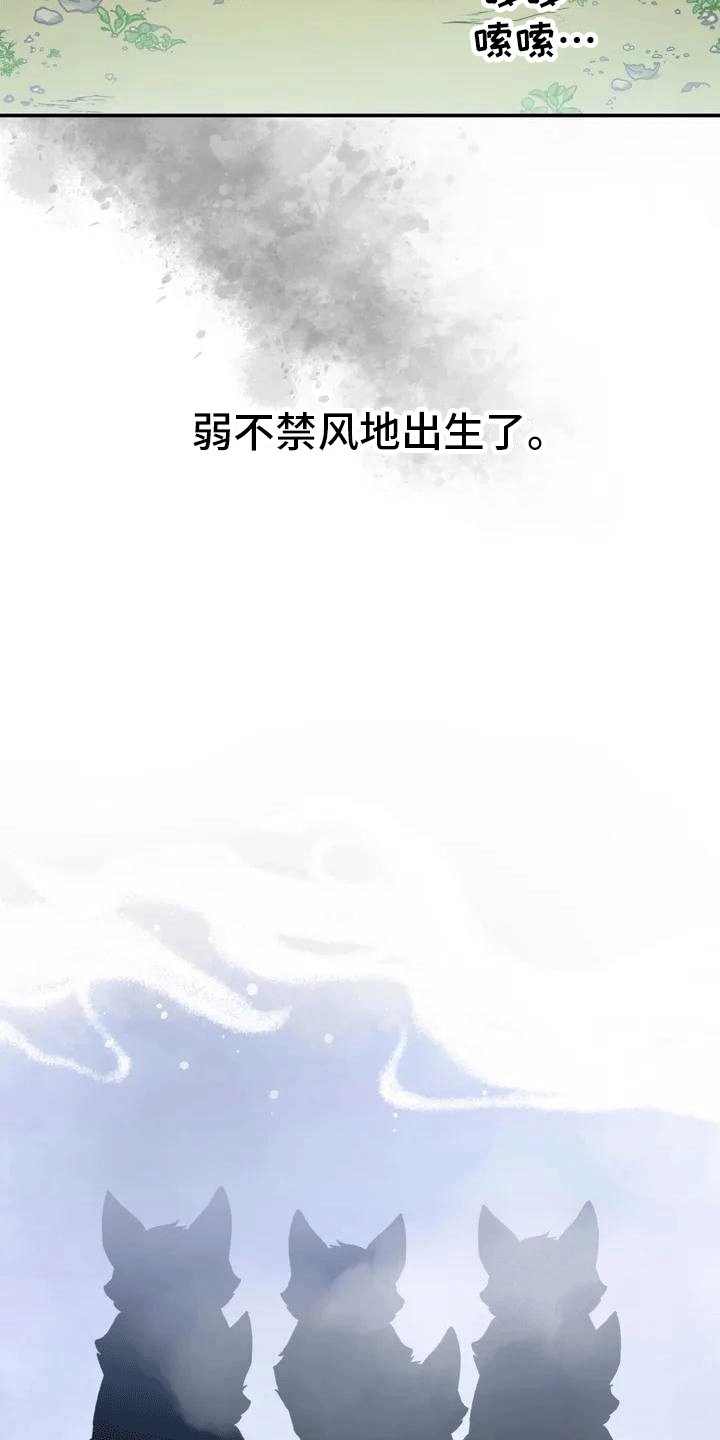 第2章：抛弃