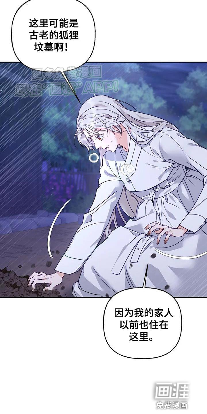 第20章：狐狸的哭声