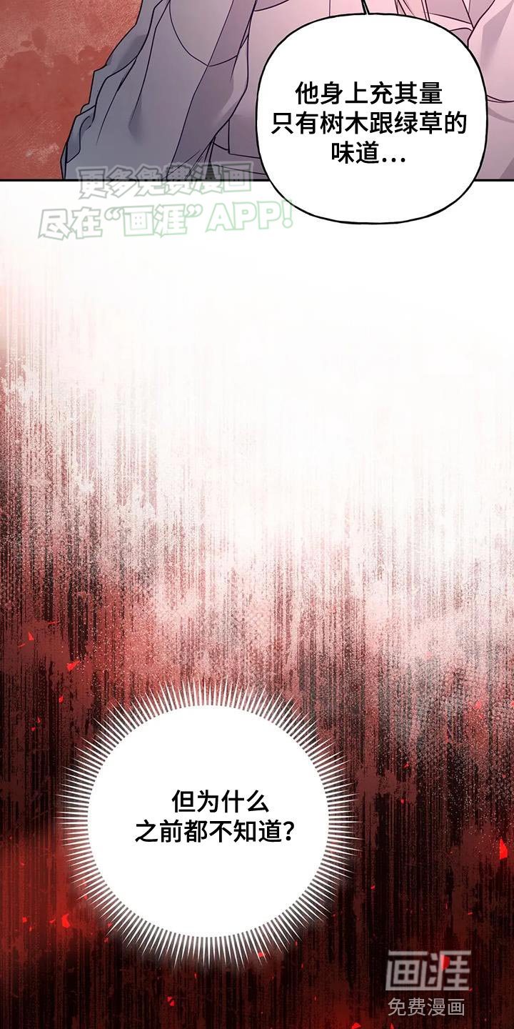 第20章：狐狸的哭声