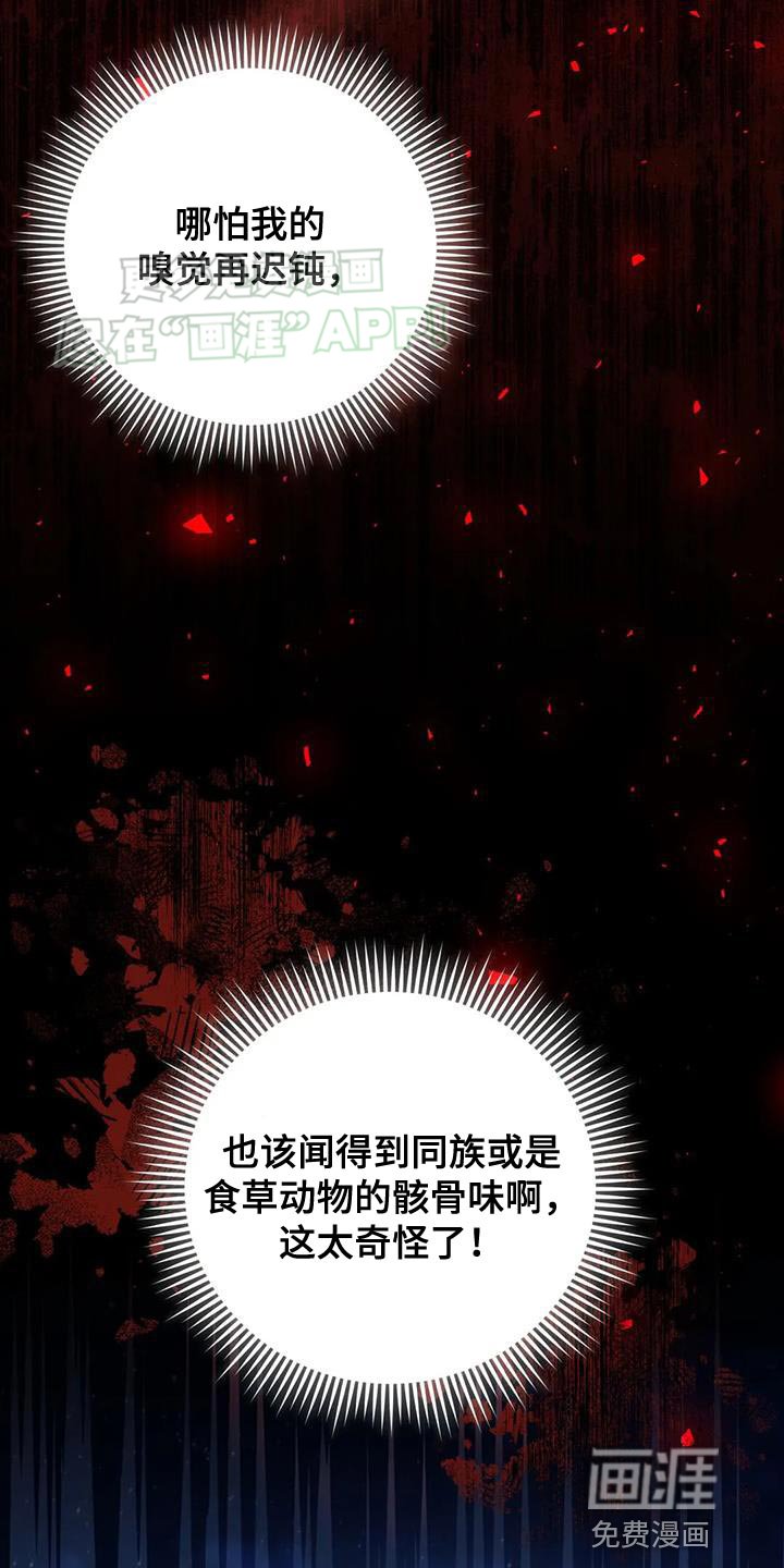 第20章：狐狸的哭声