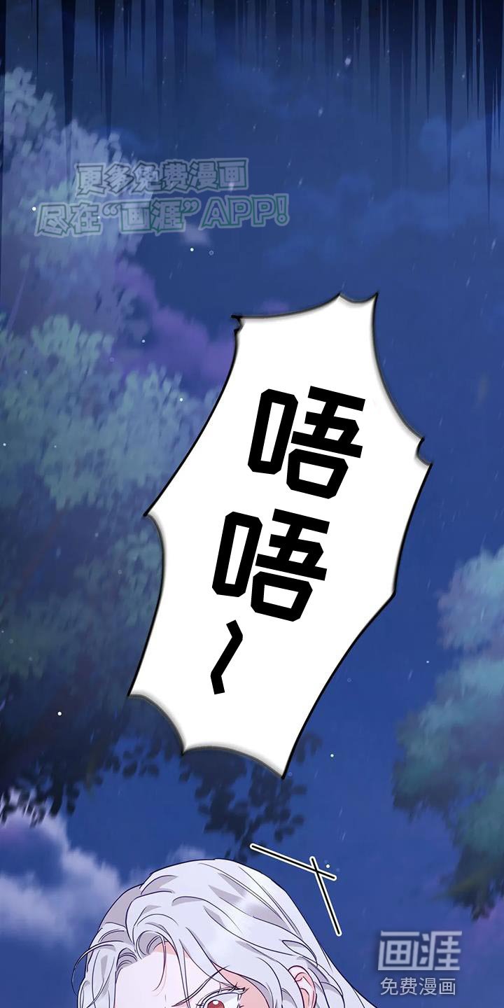 第20章：狐狸的哭声