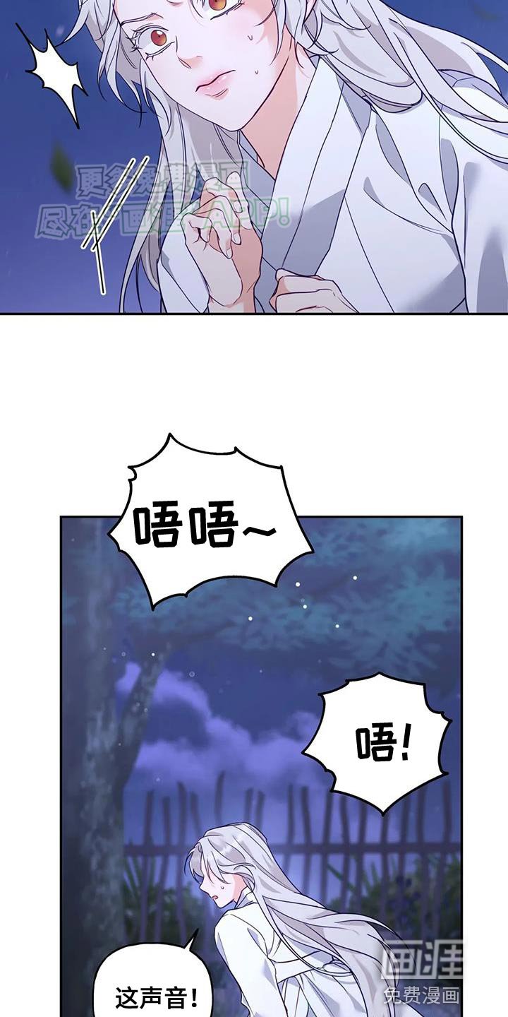 第20章：狐狸的哭声