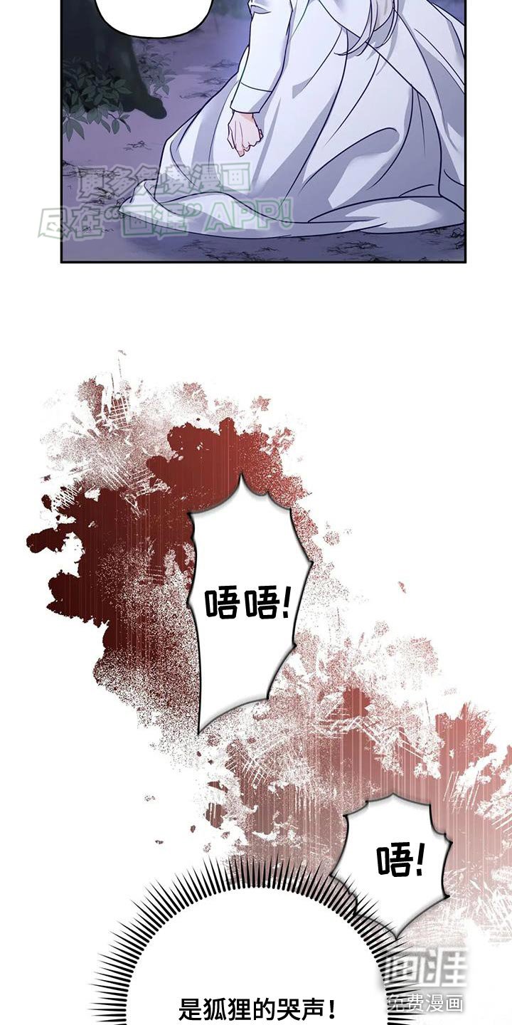 第20章：狐狸的哭声