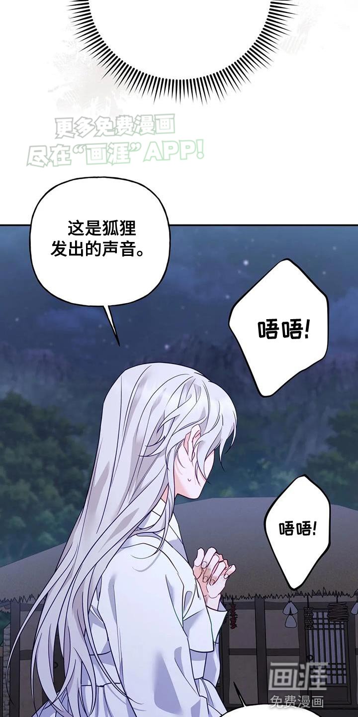 第20章：狐狸的哭声