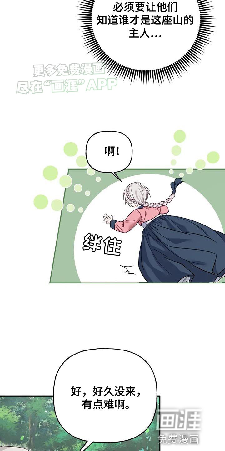 第26章：大本营