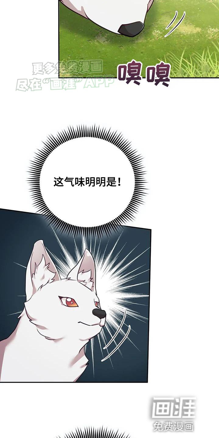 第26章：大本营