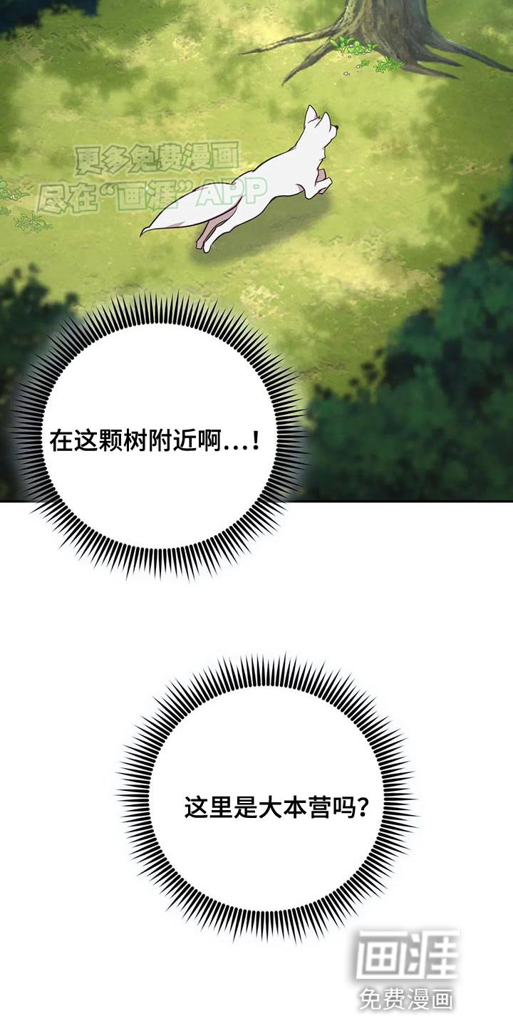 第26章：大本营
