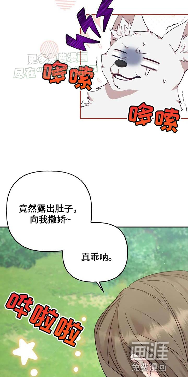 第27章：毒草