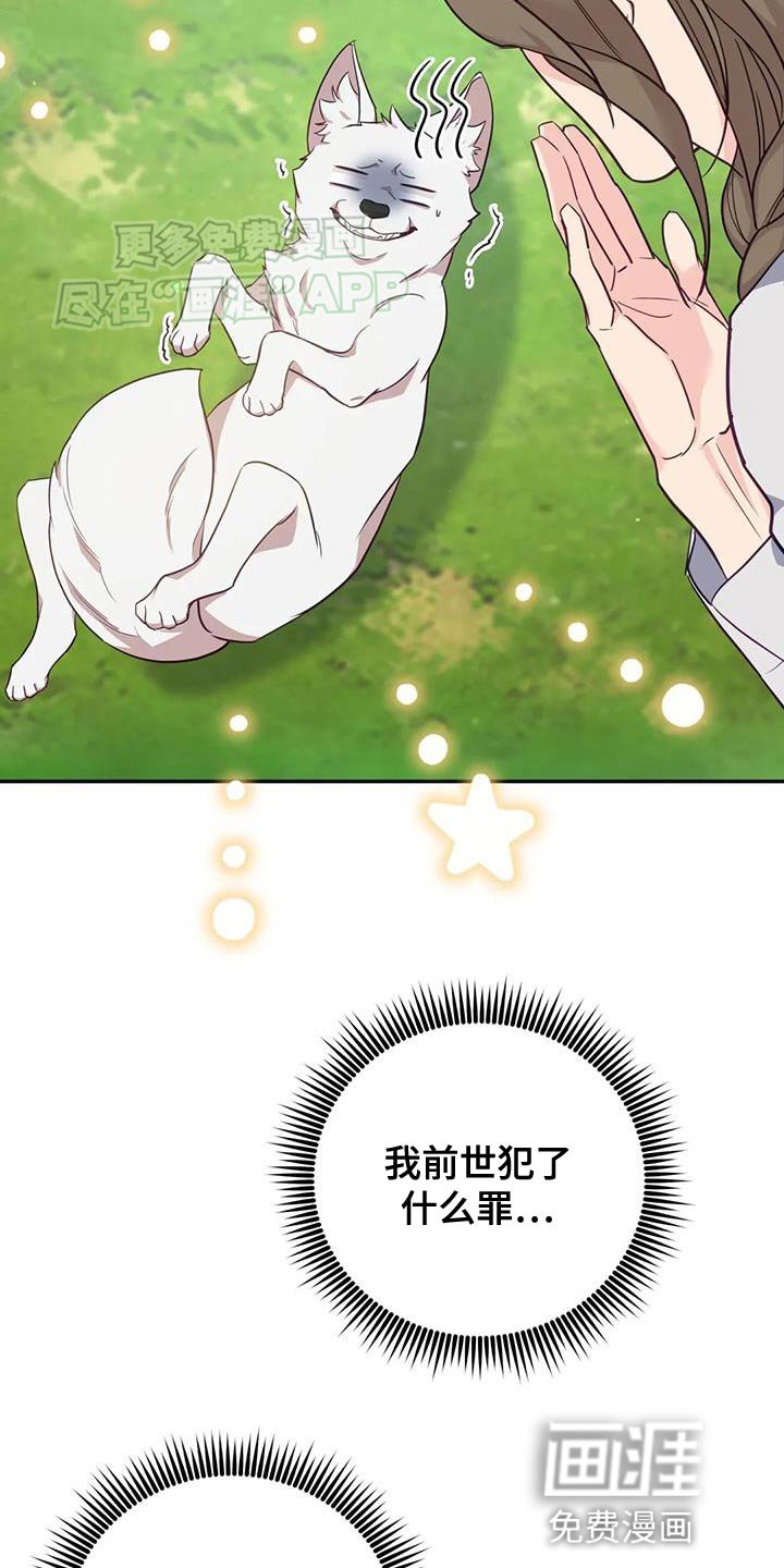 第27章：毒草