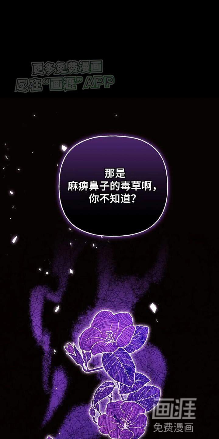 第28章：什么味道都闻不到