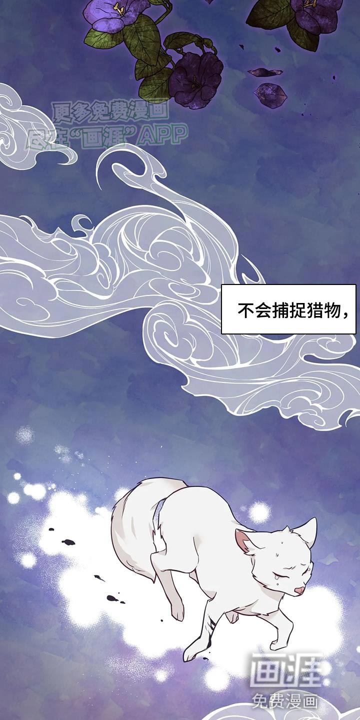 第28章：什么味道都闻不到