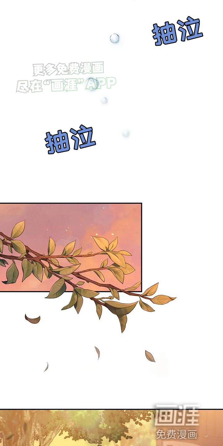 第28章：什么味道都闻不到