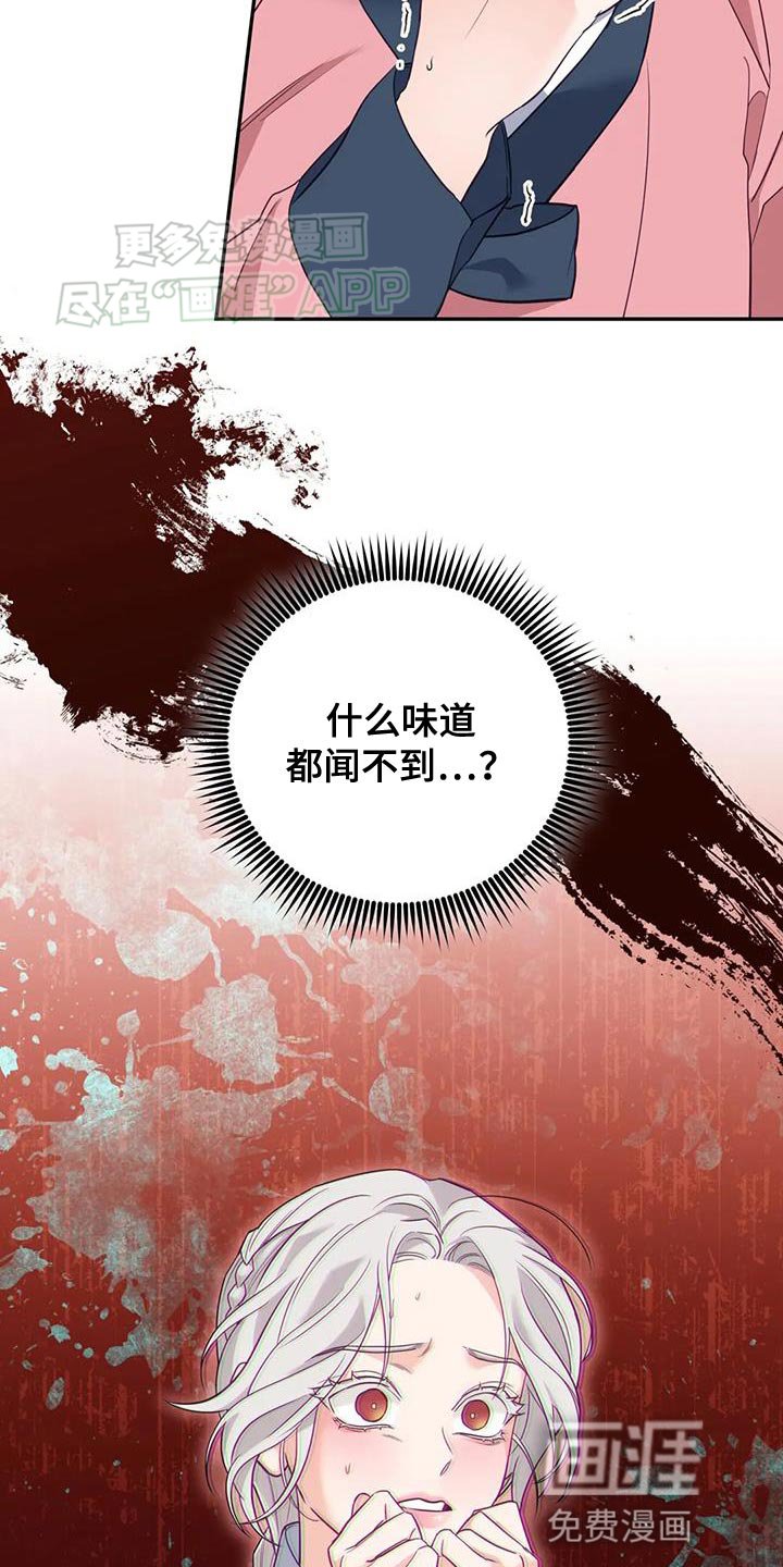 第28章：什么味道都闻不到