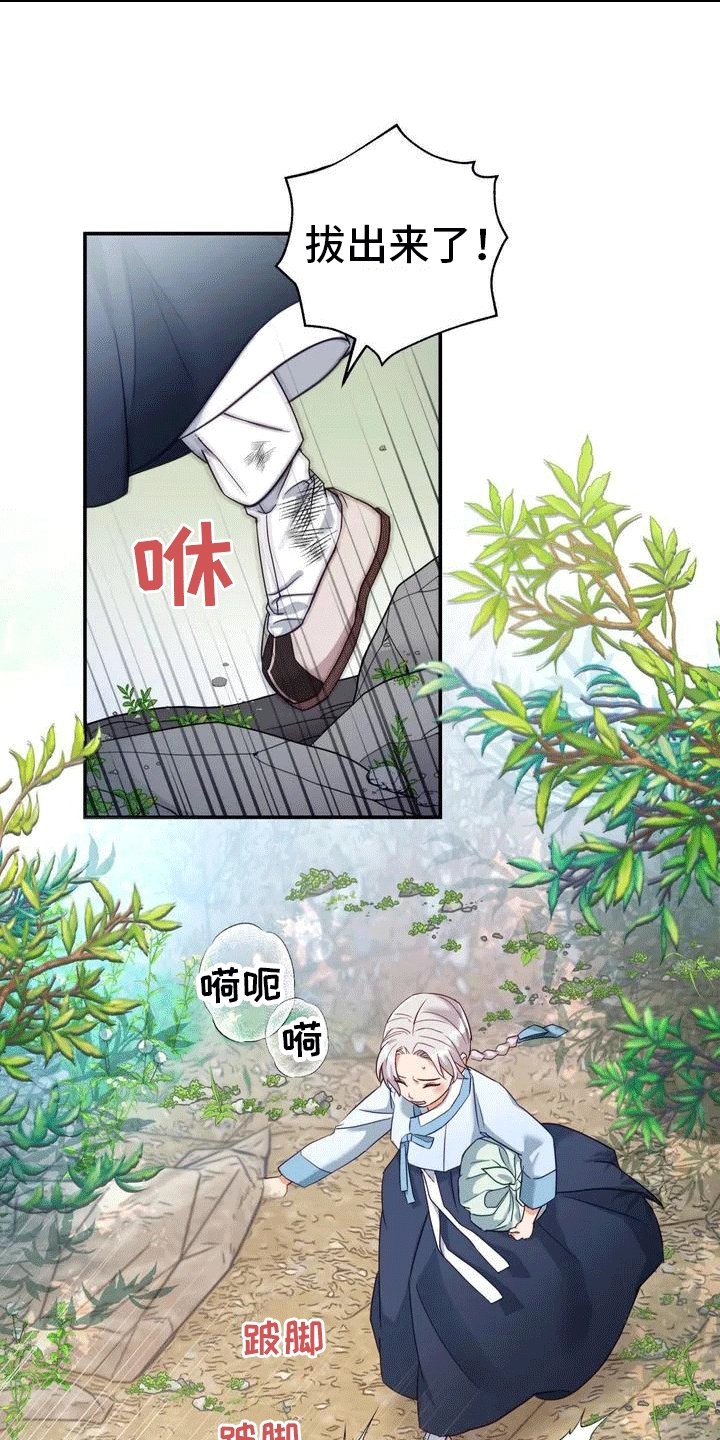 第3章：独自