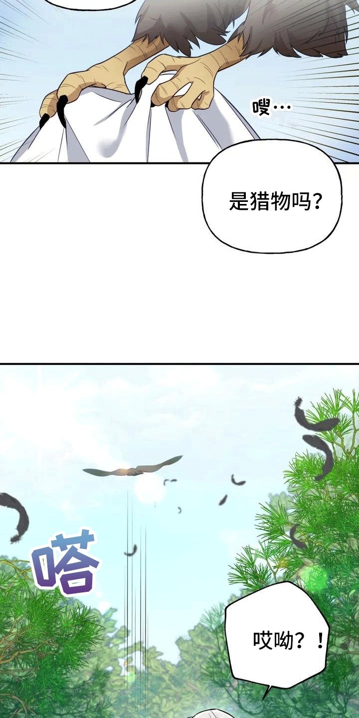 第3章：独自