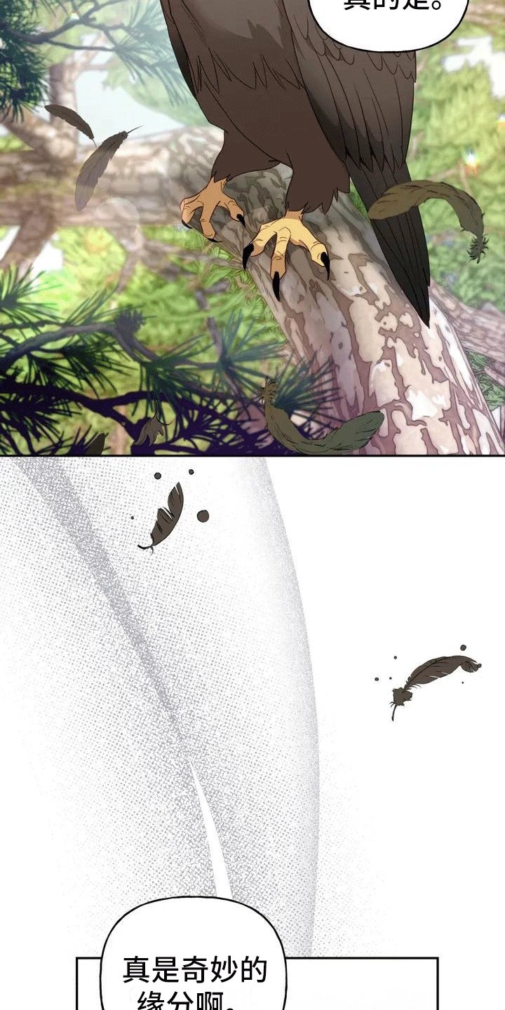 第3章：独自