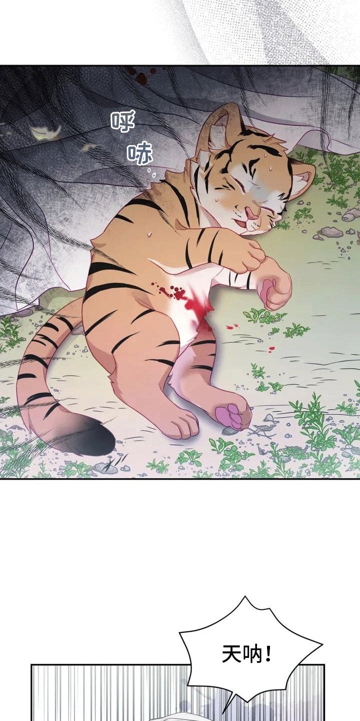 第3章：独自