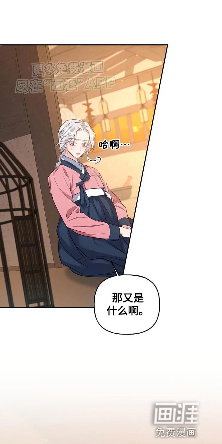 第31章：漂亮的小鸟