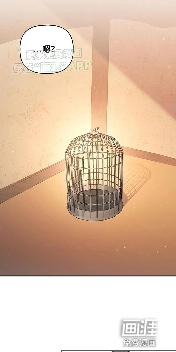 第31章：漂亮的小鸟