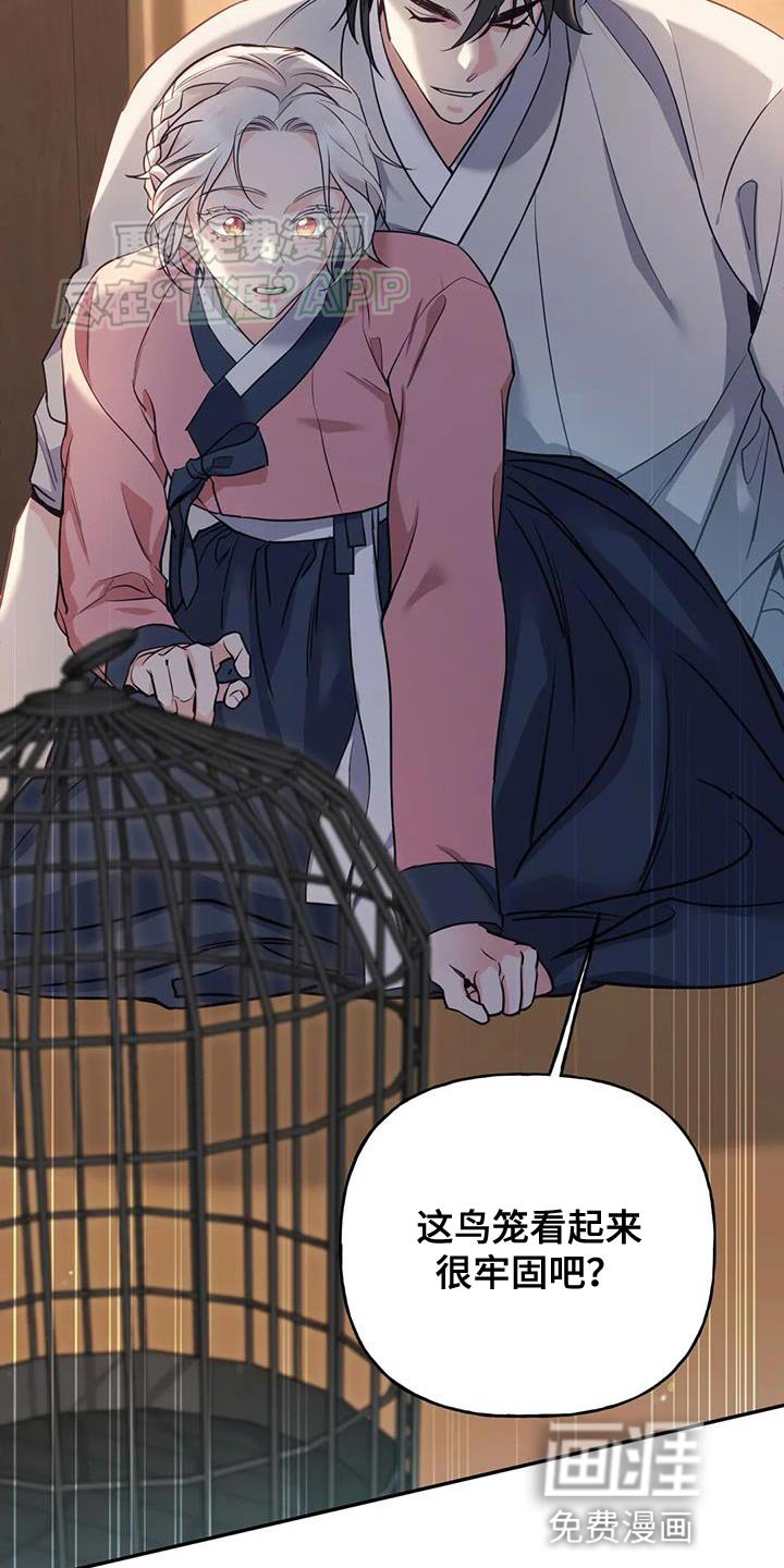 第31章：漂亮的小鸟