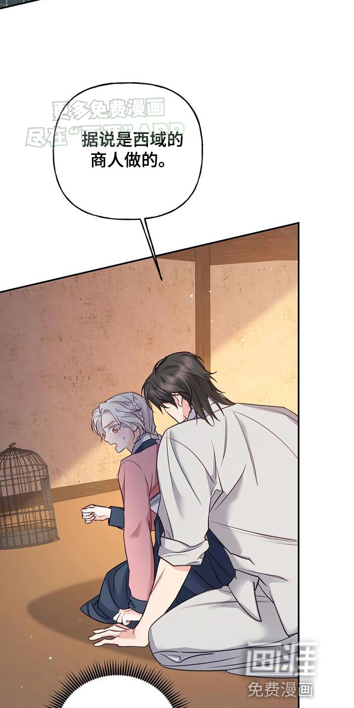第31章：漂亮的小鸟
